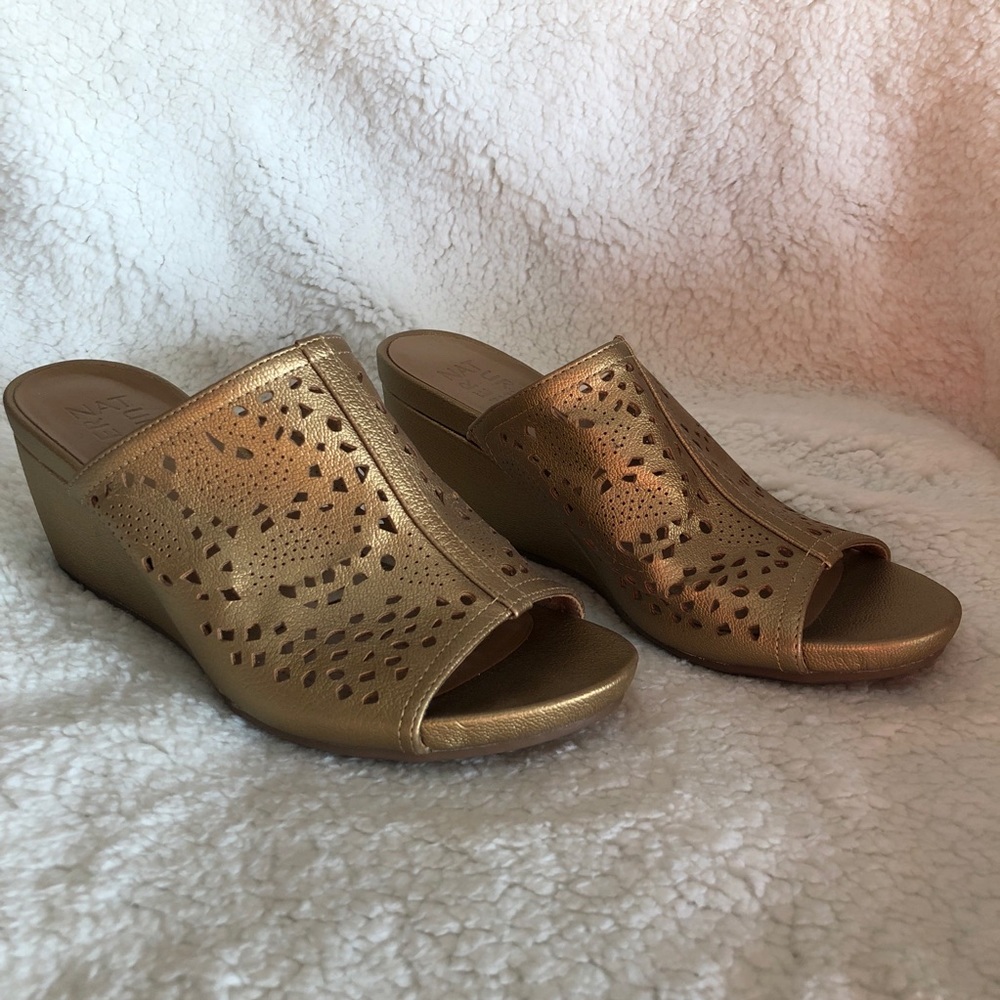 Wedge pumps
